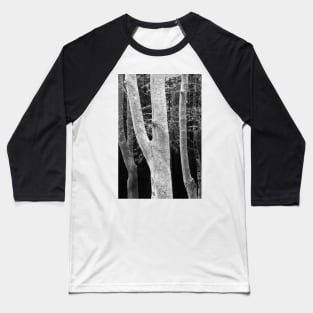 Beeches Baseball T-Shirt